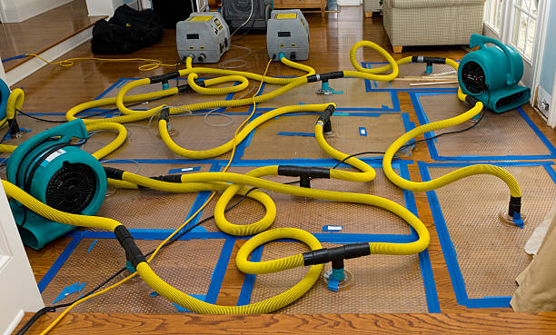 Professional Burst Pipe Water Damage technician working in Lyons, IL